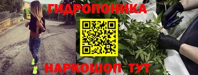 ешки Канаш