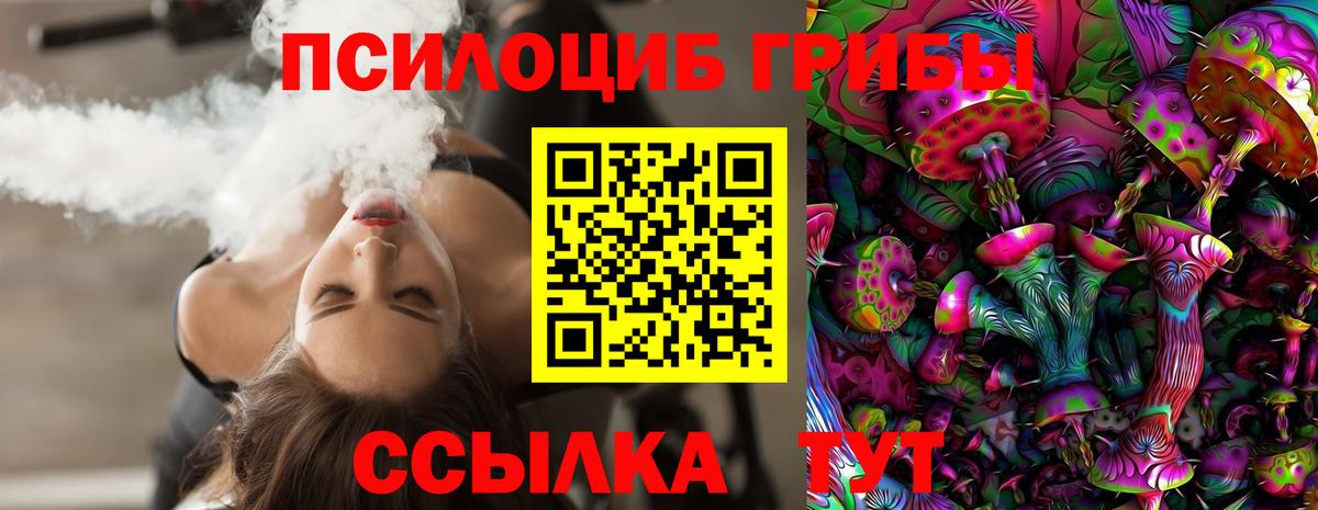где продают   Галлюциногенные грибы прущие грибы  Вход с VPN  Тула  Псилоцибиновые грибы Magic Shrooms 